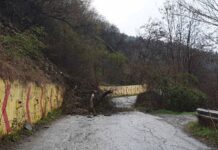 Свлачище над Асенова крепост