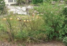 Все още се чака фирмите изпълнители да отстранят нередностите по проекта в кв. „Запад”