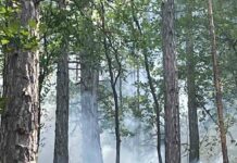 Пети ден военнослужещите от 4-ти артилерийски полк – Асеновград оказват помощ в гасенето на пожара над село Югово