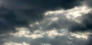 Времето днес