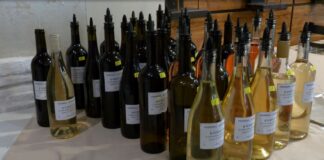 34 проби вина се класираха за втория кръг на конкурса „Най-добро домашно вино“