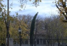 Силни ветрове бушуват днес в цялата страна