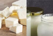 България изпрати в ЕК заявления за вписване на киселото мляко и бялото саламурено сирене като защитени продукти