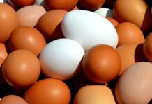 Съветват-яйца с номера 3BG04001, 1BG04001 и 3BG04003, да не се консумират
