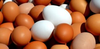 Съветват-яйца с номера 3BG04001, 1BG04001 и 3BG04003, да не се консумират