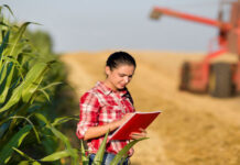 Най-често допусканите грешки на младите земеделски стопани