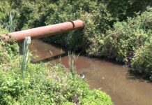 Сигнал в РИОСВ – Пловдив