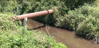 Сигнал в РИОСВ – Пловдив