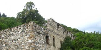 Ново допитване до асеновградчани