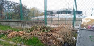 След сигнал почистват улица в Асеновград