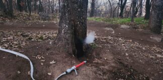 Дърво бе запалено от младежи на хълм Бунарджика в Пловдив