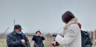 Конкурс за „Най-добро домашно вино – реколта 2022 г.“ организират и в Куклен