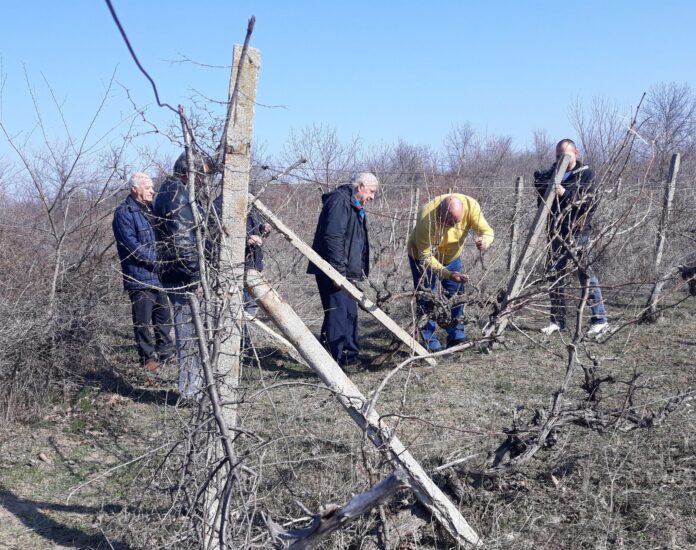 Зарязване в Избелий.4