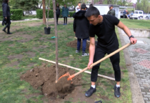Асеновградски ученици садиха дръвчета в централна градска част
