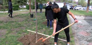 Асеновградски ученици садиха дръвчета в централна градска част