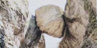 Асеновградчани направиха предложения за защитени зони