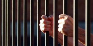 Непълнолетен наркодилър бе заловен от асеновградски полицаи