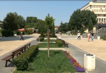 Асеновград ще озелени осем хектара градски пространства със средства от Програма „Околна среда“