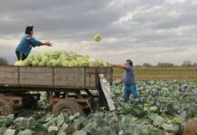 Срещи за разяснения на Стратегическия план за развитие организират от МЗ