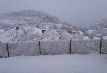 Слънчево ще бъде времето в Асеновград през последните два дни на 2024 година