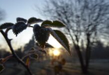 Рязко застудява следващата седмица