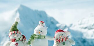 Тази сутрин в 06:19 ч. българско време настъпи астрономическата зима