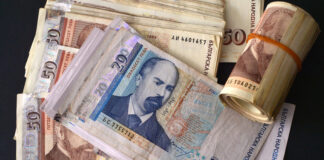 875 лева е средният осигурителен доход за страната за юни