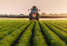 В сектор „Земеделие“ се отпускат над 49 млн. лв. помощ по de minimis