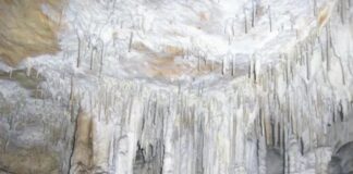 Голям интерес от страна на туристите към пещера „Добростански бисер“