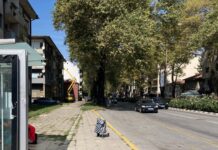 От понеделник стартира ремонт на тротоарни настилки в Асеновград